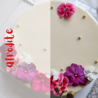 presentazione torta